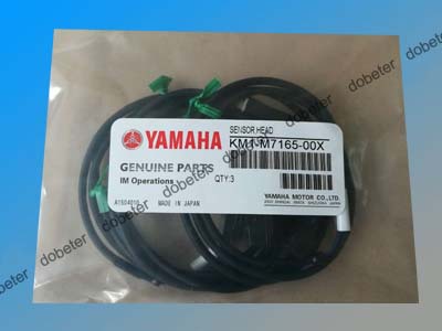 sensor head KM1-M7165-00X